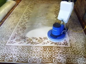 professional carpet cleaning services-7