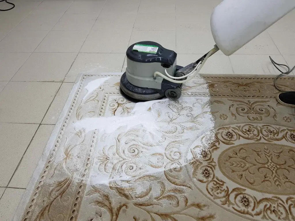 professional carpet cleaning services-1